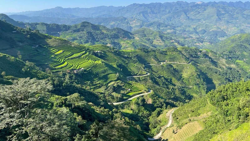 Winding road above bright green rice terraces in the hills near Ha Giang on a self-drive 3-day Ha Giang loop motorcycle tour, northern Vietnam